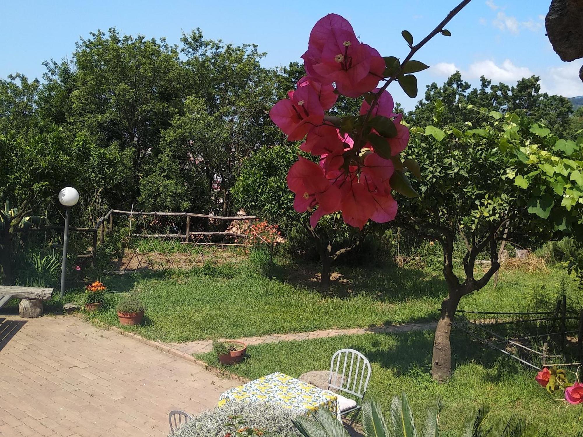 B&B Casa Gemma Lamezia Terme Exterior photo